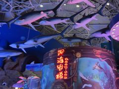 -烟台海昌鲸鲨海洋公园