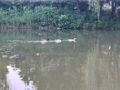 -天目湖涵田度假村