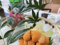 -雲上錢屋·怀石料理(上海中心店)