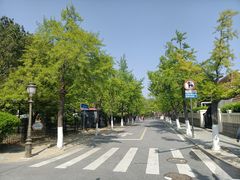-八大关景区