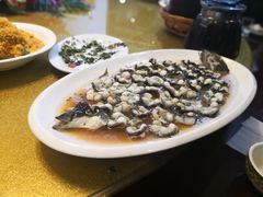 -呼吸森林·生态农庄农家乐私房菜