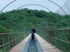 -八大处公园