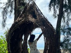 -三亚西岛海洋文化旅游区
