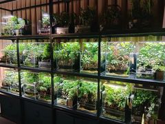-扶摇湘宴·烤鸭·湘粤宴(中关村·北大店)