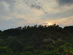 -火炉山森林公园