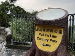 -太平山顶