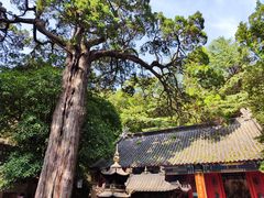 -青岛崂山太清宫