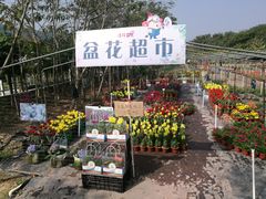 -丹樱生态园