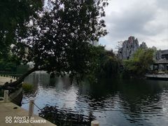 -荔湾湖公园