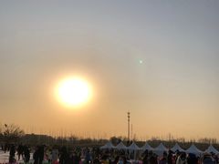 -绿野森林乐园冰雪季