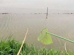 -梁鸿国家湿地公园