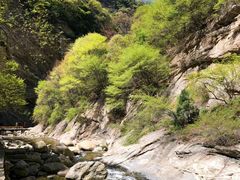 -少华山国家森林公园