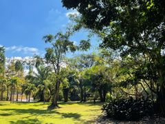 -中国科学院西双版纳热带植物园