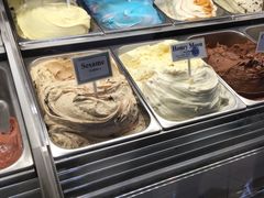 -Dooley's Premium Ice Cream