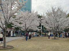 -西北湖绿化广场