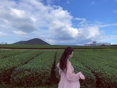 -雪绿茶博物馆