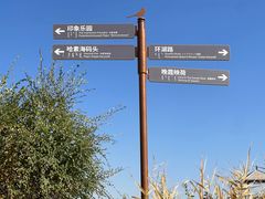 -哈素海