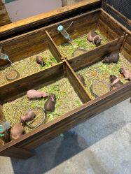 -酷嗒动物文化乐园(cutezoo西溪乐天城店)