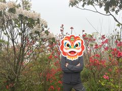 -大围山国家森林公园