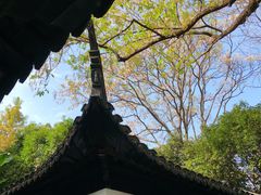 -秋霞圃