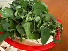 -扎佐老牌蹄膀·猪脚