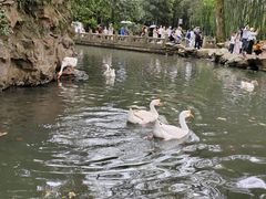 -兰亭风景区
