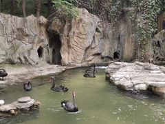 -燕塞湖鸟语林景区