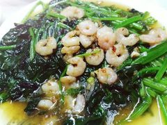 虾仁烧菠菜-老健康贾姨原味馆