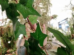 -杭州平安悦坊 PAFC LIVING