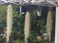 -三圣花乡旅游区