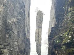 -恩施大峡谷