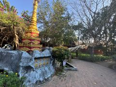 -瑞丽独树成林风景区