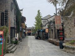-莫愁村问君老酸奶