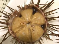 -海胆小馆(东北水饺·春柳店)