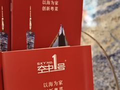 -南海渔村·空中一号