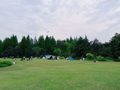 -上海滨江森林公园