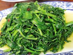炒豌豆尖-徐鼎盛民间菜(微电园店)