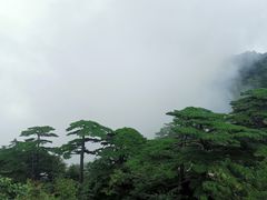 -黄山风景区