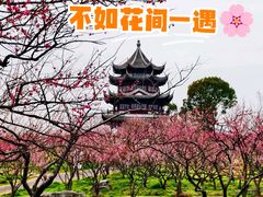 -上海海湾国家森林公园