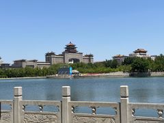 -莲花池公园