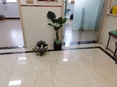 -派特宠物医院(圆融广场店)