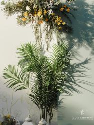 -红丝高端婚礼中心(旗舰店)