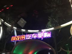 -枫花园汽车电影院(朝阳公园店)