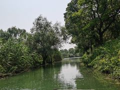 -西溪国家湿地公园