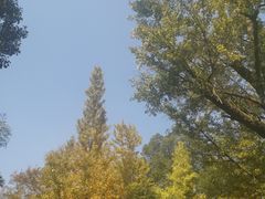 -西湖风景区十里琅珰-五云山