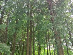 -尚贤河湿地