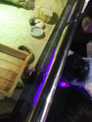 -未来动物城主题公园(正弘城店)