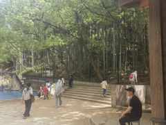 -东明山森林公园