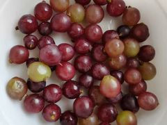 -壹号果仓(常熟三店)