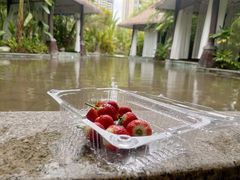 -碧桂园润杨溪谷温泉酒店